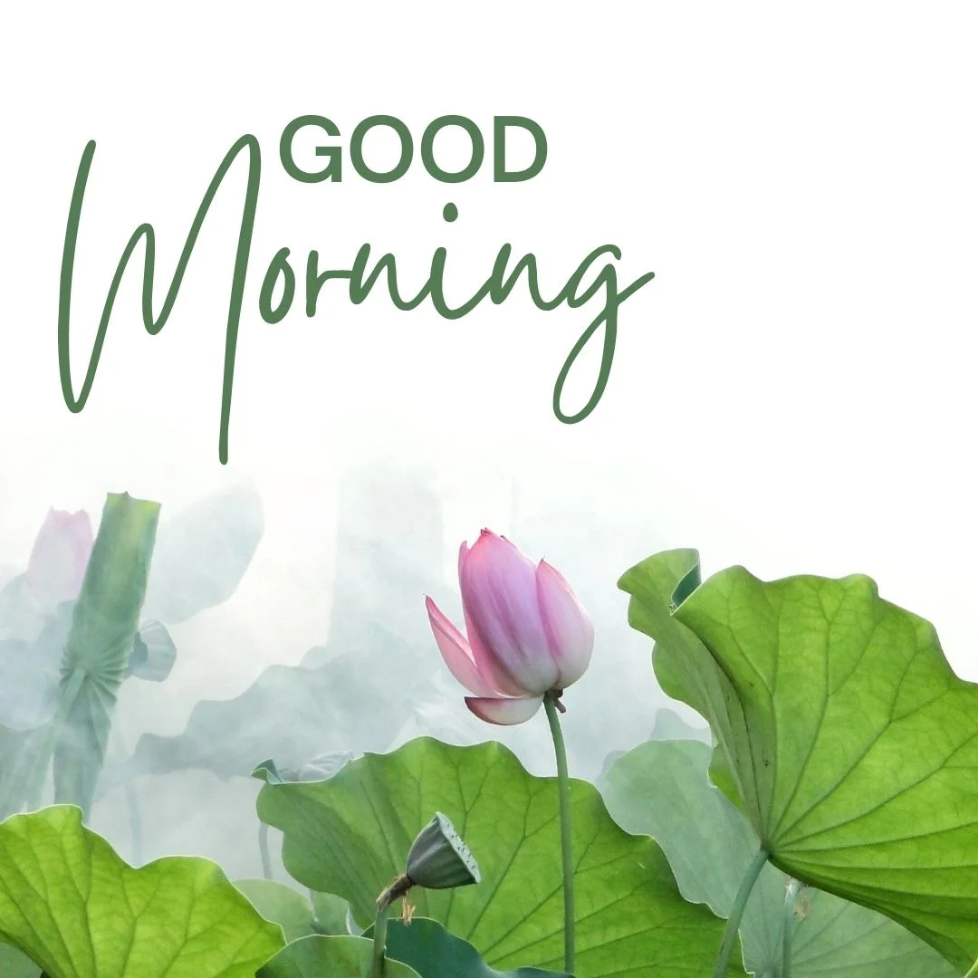 80+ Good morning images free to download 79